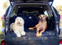 Pawmanity Cargo Liner - Pawmanity