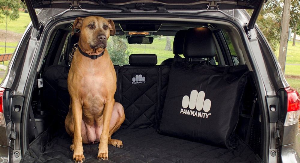 
                
                    Load image into Gallery viewer, Pawmanity Cargo Liner - Pawmanity
                
            