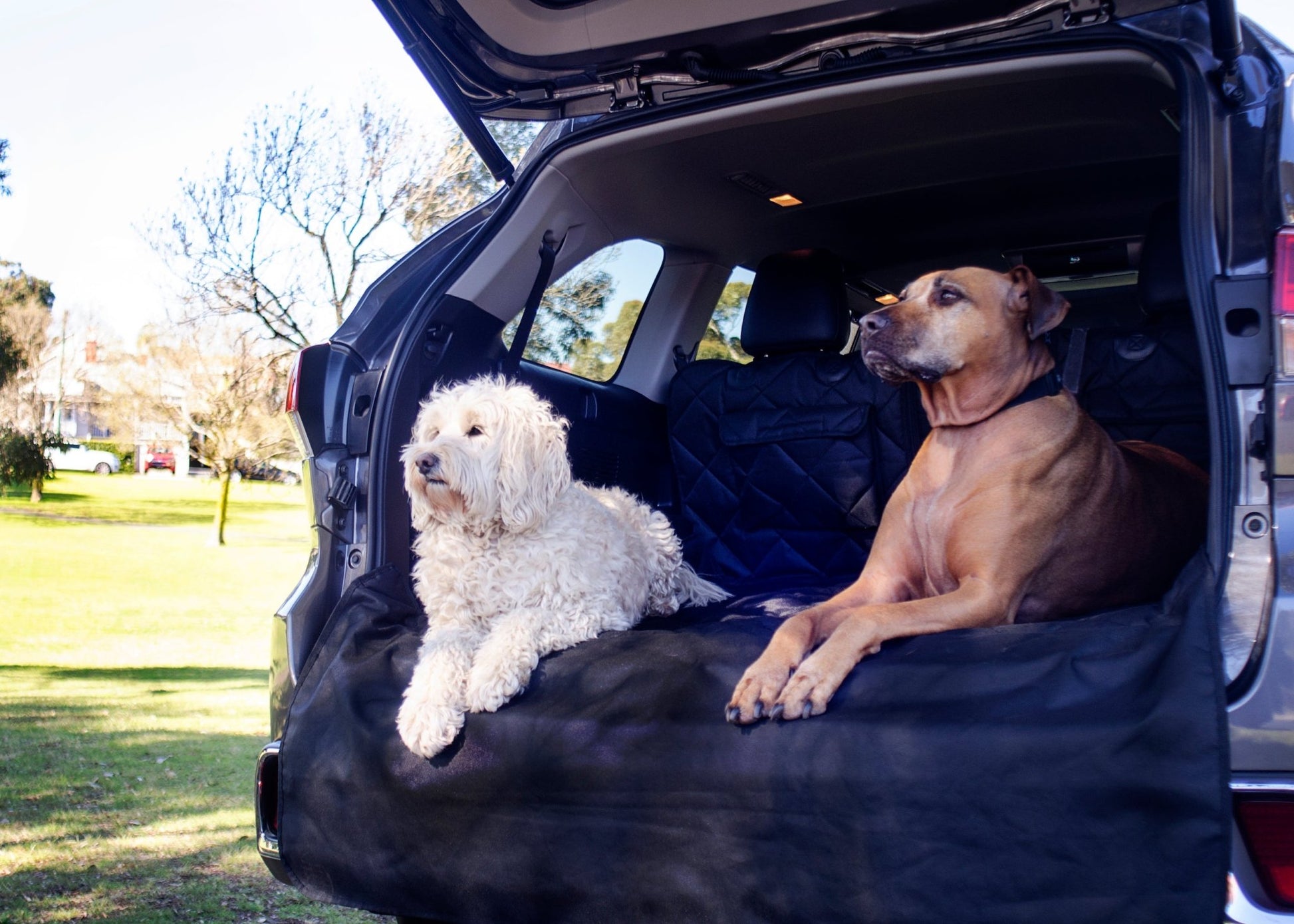 Pawmanity Cargo Liner - Pawmanity