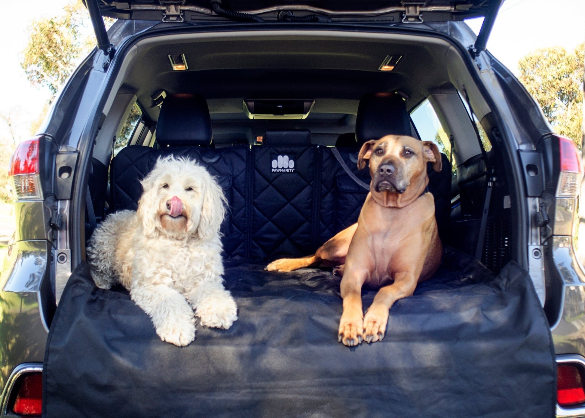 Pawmanity Cargo Liner - Pawmanity